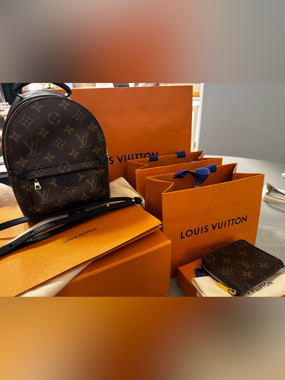 Louis Vuitton Palm Springs Mini + Zippy Coin Wallet